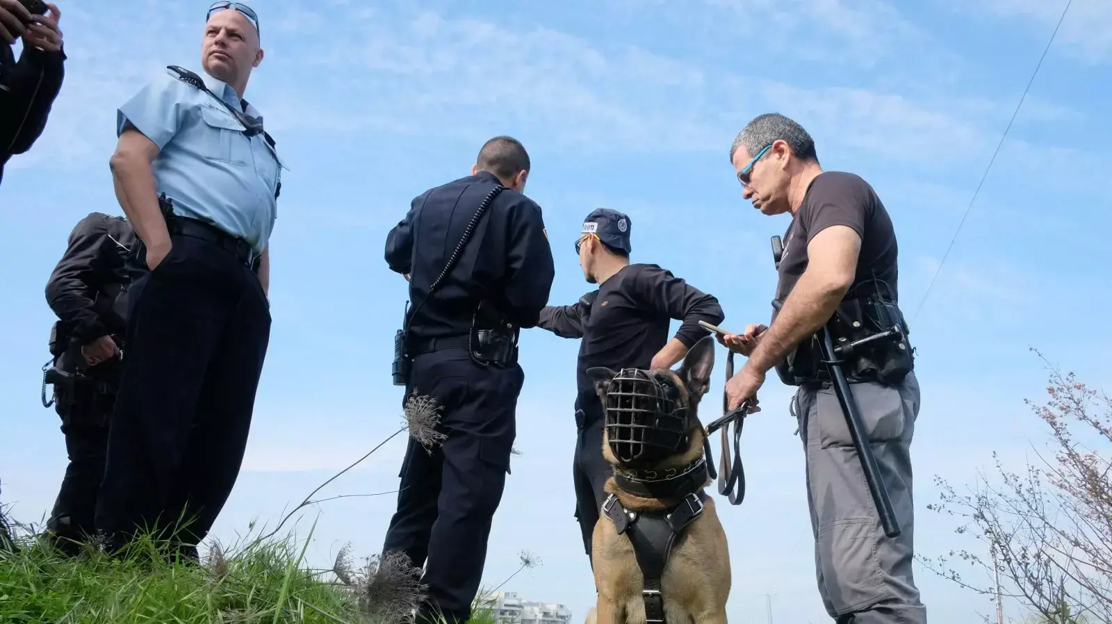 חיפושים אחר המחבל בשדות בצפון תל אביב, 4 בינואר 2016 חיפושים אחר המחבל בשדות בצפון תל אביב, 4 בינואר 2016