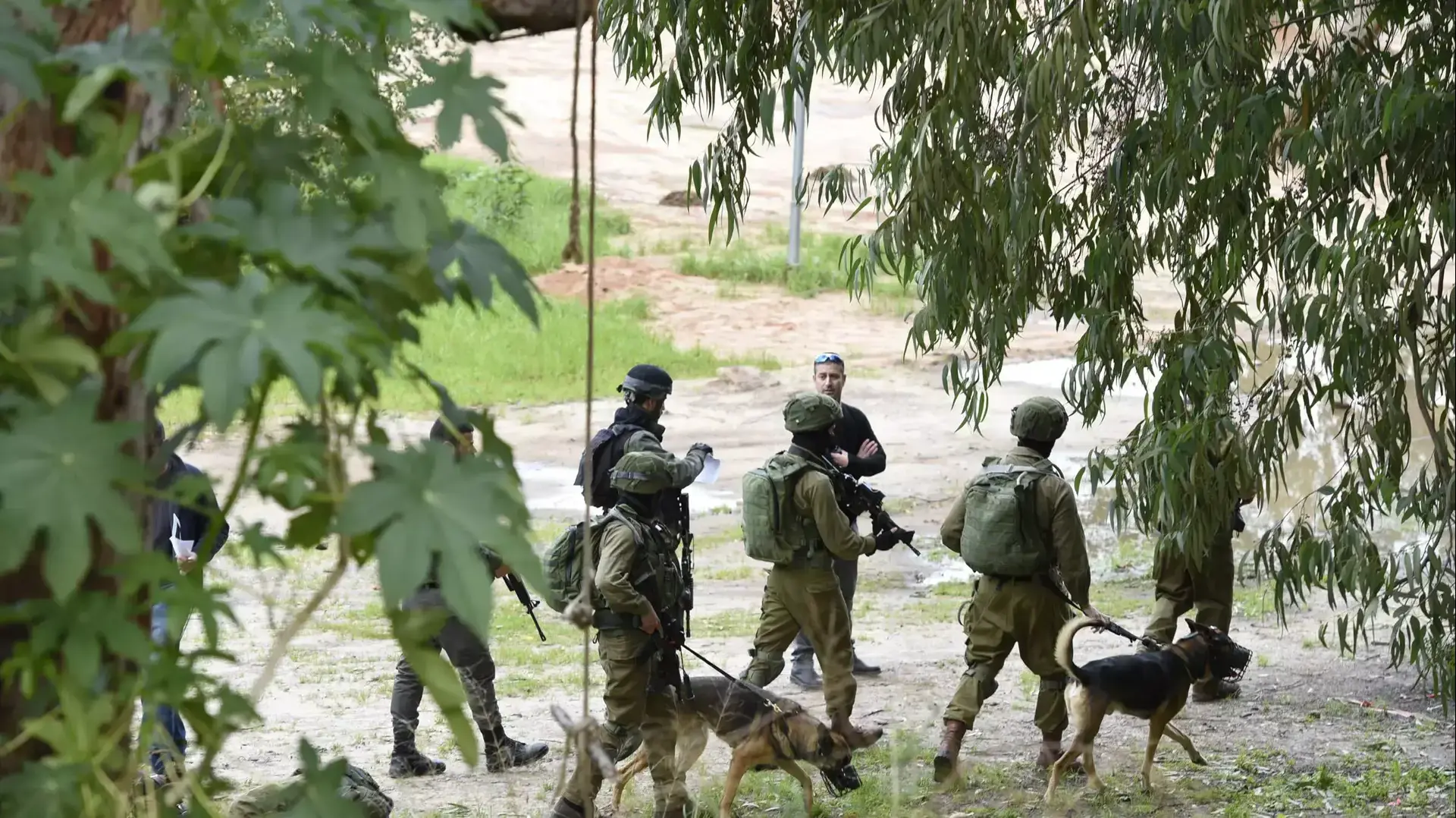 חיפושים ברמת אביב אחרי נשאת מלחם חיפושים ברמת אביב אחרי נשאת מלחם