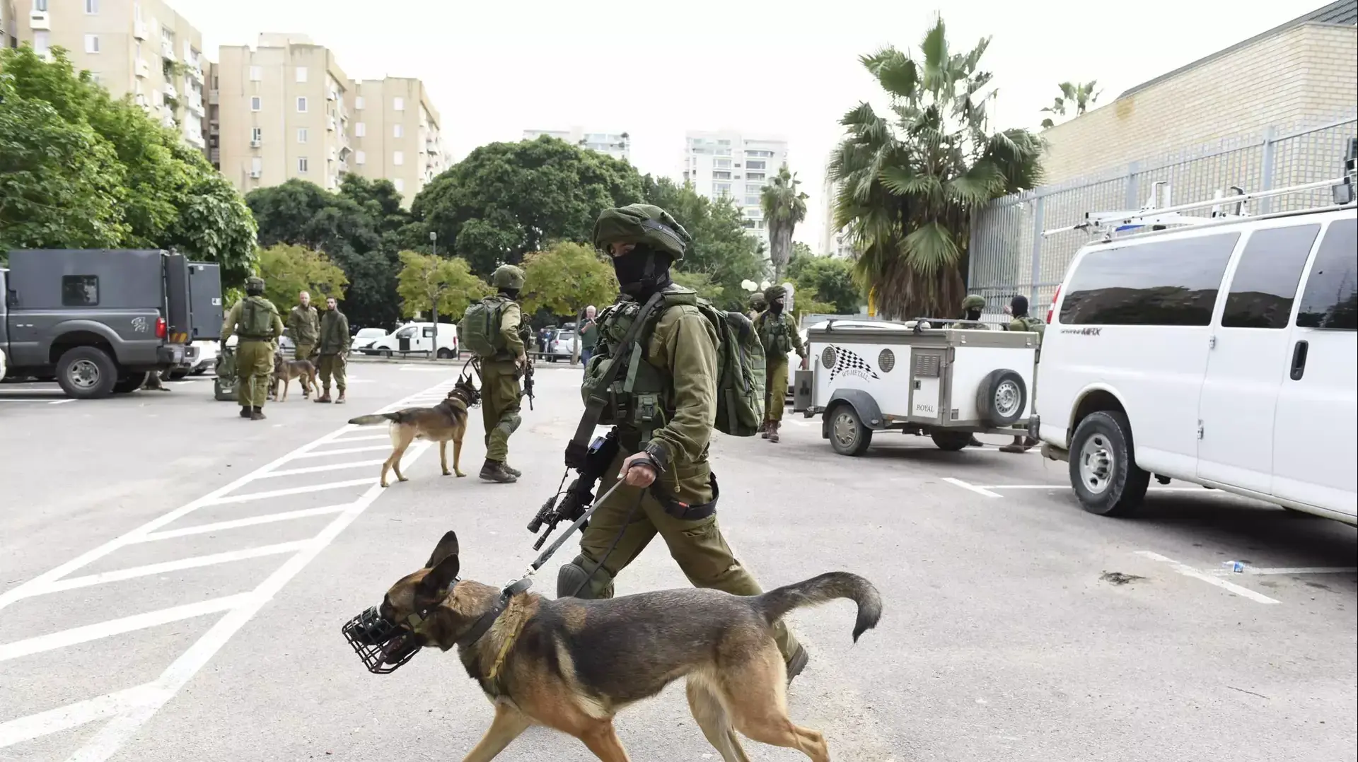 חיפושים ברמת אביב אחרי נשאת מלחם