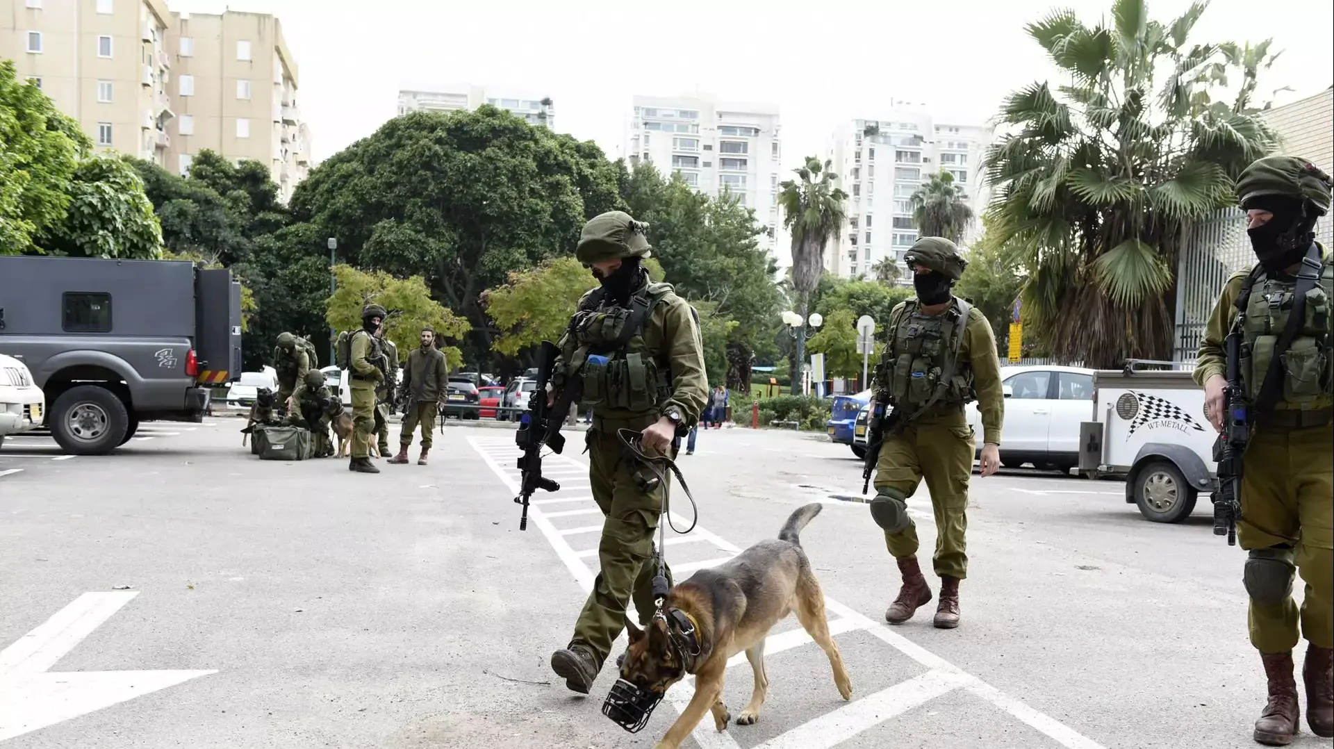 חיפושים ברמת אביב אחרי נשאת מלחם חיפושים ברמת אביב אחרי נשאת מלחם