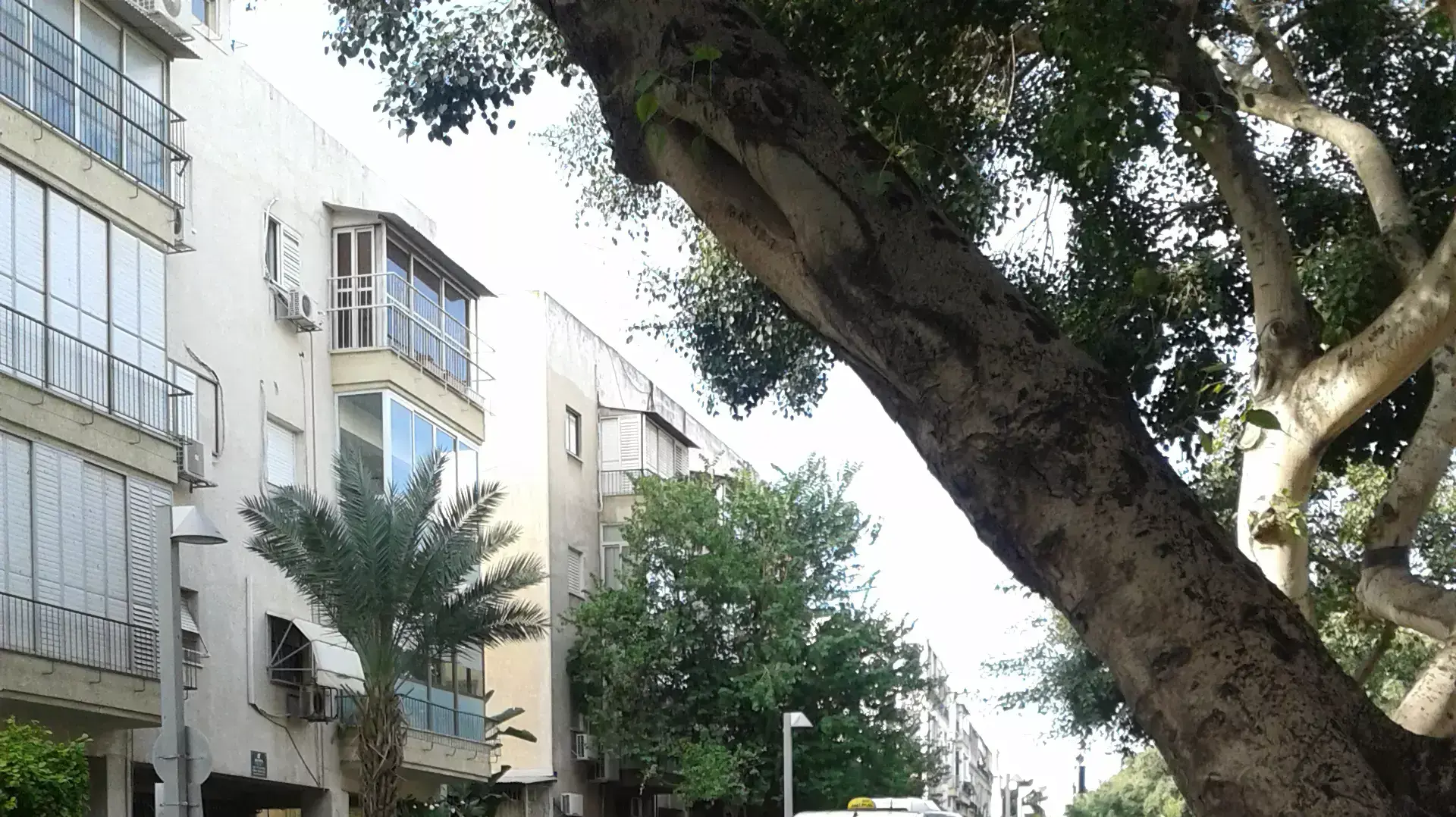 מונית שירות מונית שירות