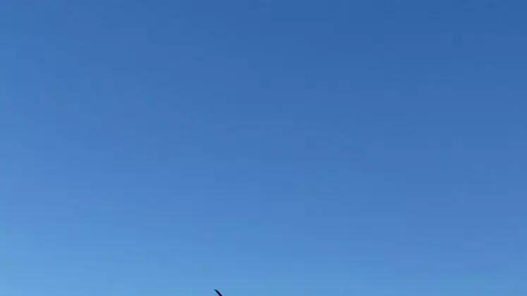 תאונה בצאלים תאונה בצאלים
