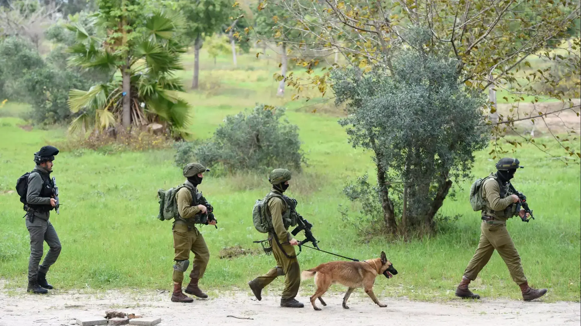 חיפושים אחרי המחבל נשאת מלחם בצפון תל אביב, 4 בינואר 2016 חיפושים אחרי המחבל נשאת מלחם בצפון תל אביב, 4 בינואר 2016