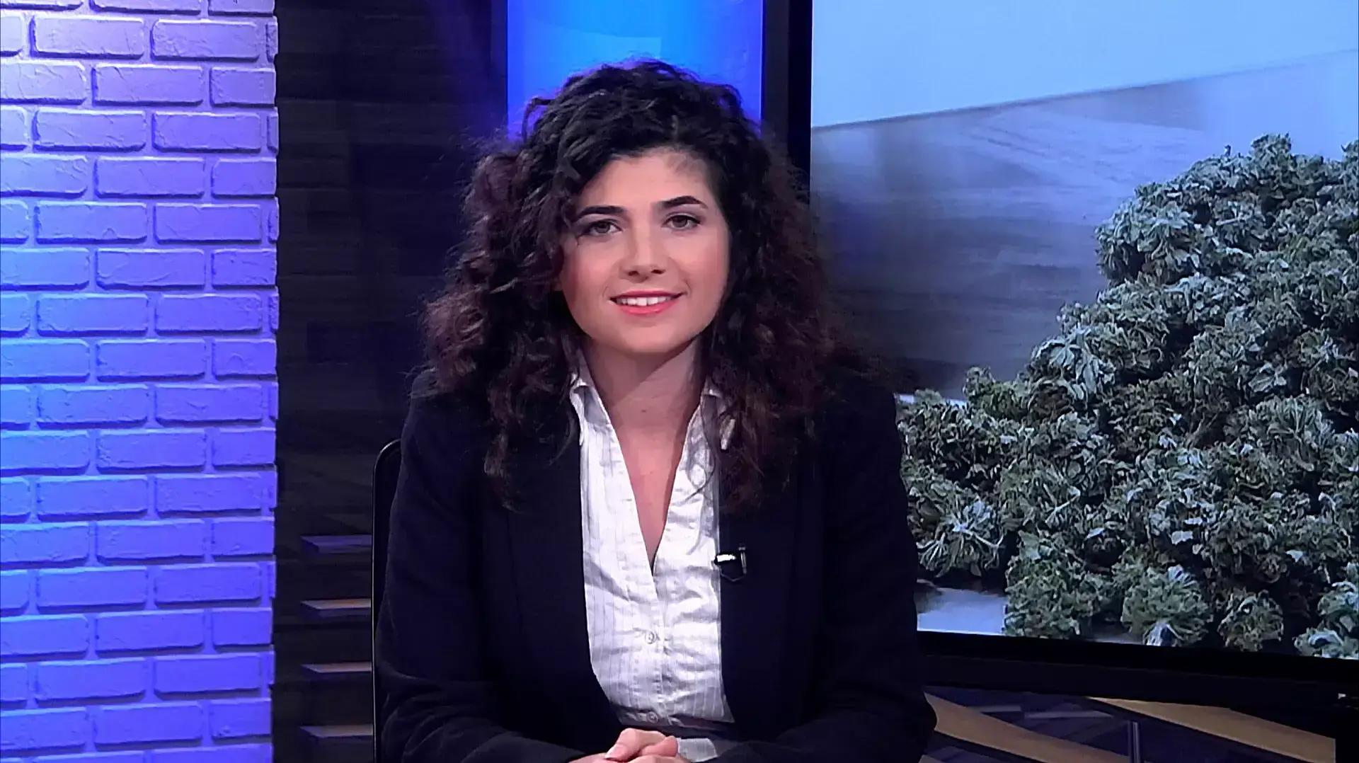 ח"כ שרן השכל על השדולה שהקימה למען הרחבת שימוש בקנאביס רפואי