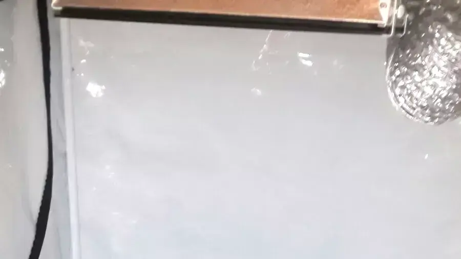 שתילי קנאביס שנתפסו בפשיטות על מעבדות הידרו שתילי קנאביס שנתפסו בפשיטות על מעבדות הידרו