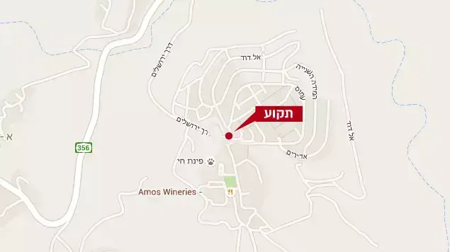 תקוע