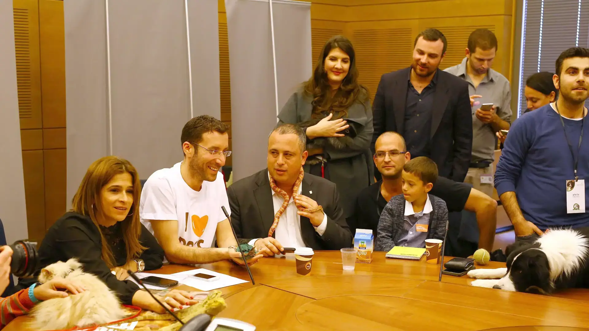 פינת ליטוף חיות במשכן הכנסת חגיגות 50 לכנסת פינת ליטוף חיות במשכן הכנסת חגיגות 50 לכנסת