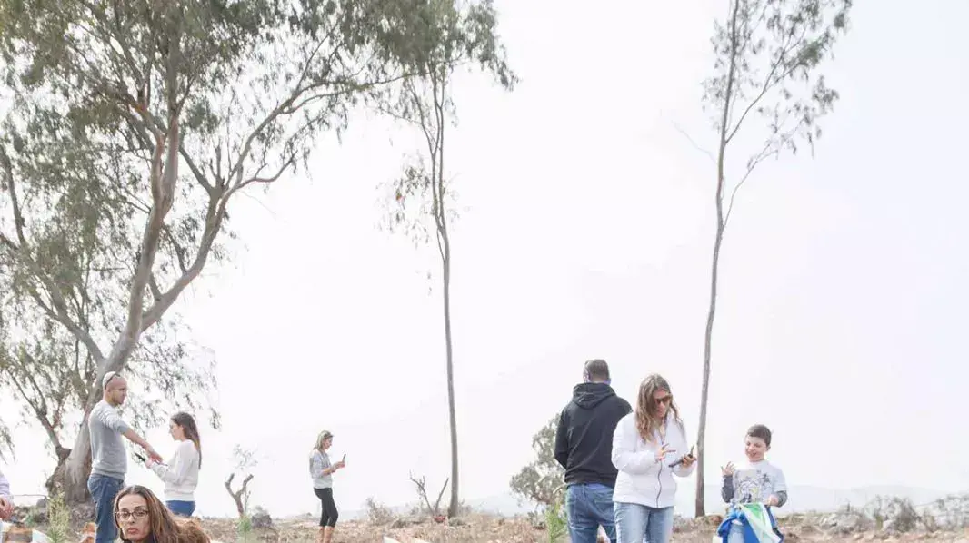 נטיעות, ט"ו בשבט, 22 בינואר 2016 נטיעות, ט"ו בשבט, 22 בינואר 2016