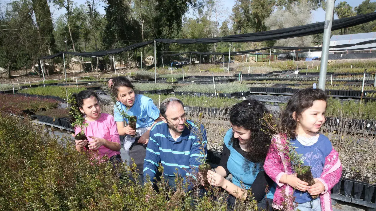 נטיעות, ט"ו בשבט, 22 בינואר 2016