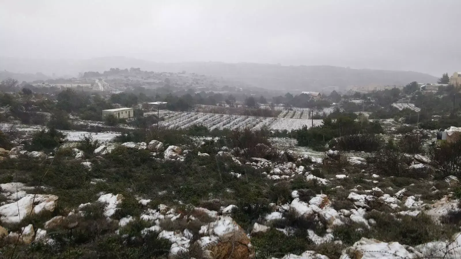 השטח שמול שכונת החרסינה בחברון מכוסה שלג השטח שמול שכונת החרסינה בחברון מכוסה שלג