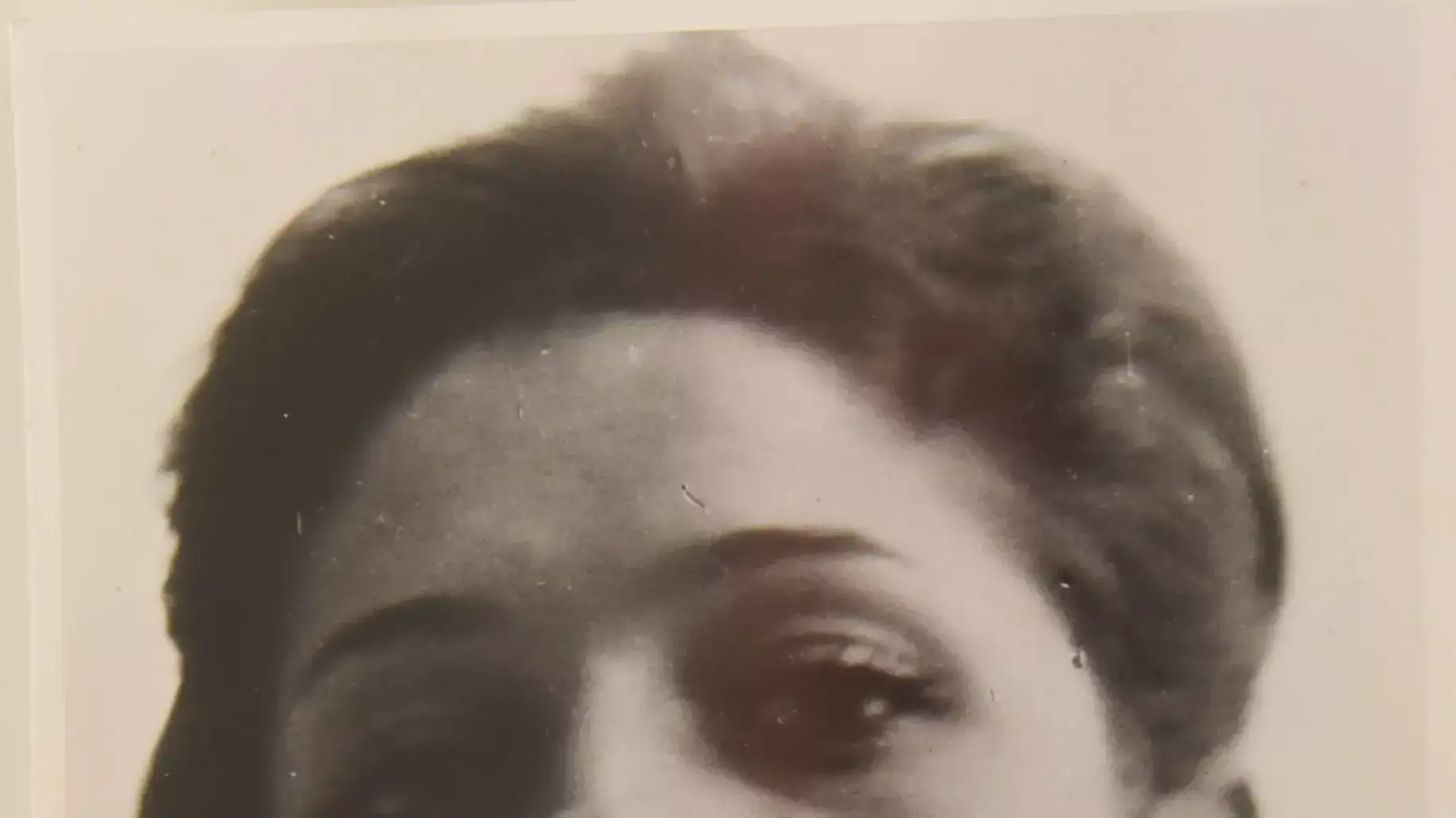 תרצה אתר תרצה אתר