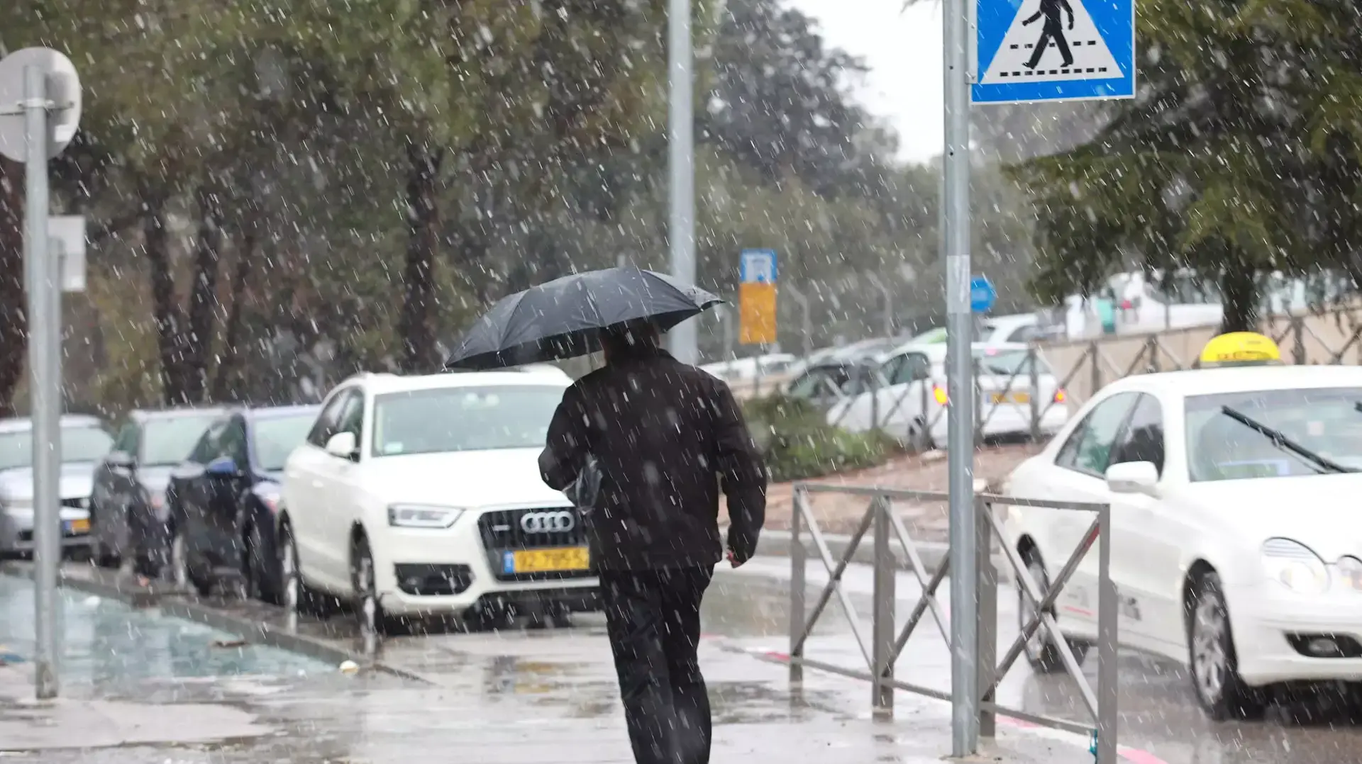 פתיתי שלג בהר הצופים, ירושלים. ינואר 2016 פתיתי שלג בהר הצופים, ירושלים. ינואר 2016