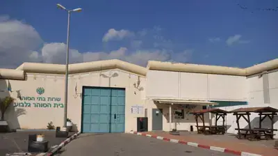 בית הסוהר גלבוע בית הסוהר גלבוע