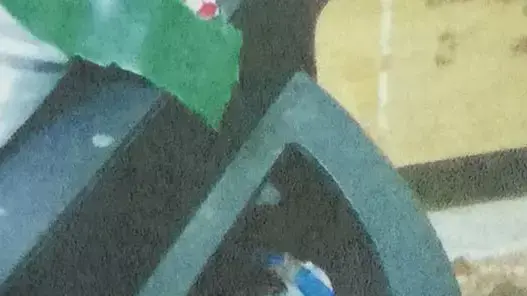שתי אחיות תאומות, דיאנא ונאדיא חוילה מהכפר שויכה הסמוך לטול כרם, נעצרו לאחר שאותר אמל"ח בביתן. ינואר 2016 שתי אחיות תאומות, דיאנא ונאדיא חוילה מהכפר שויכה הסמוך לטול כרם, נעצרו לאחר שאותר אמל"ח בביתן. ינואר 2016