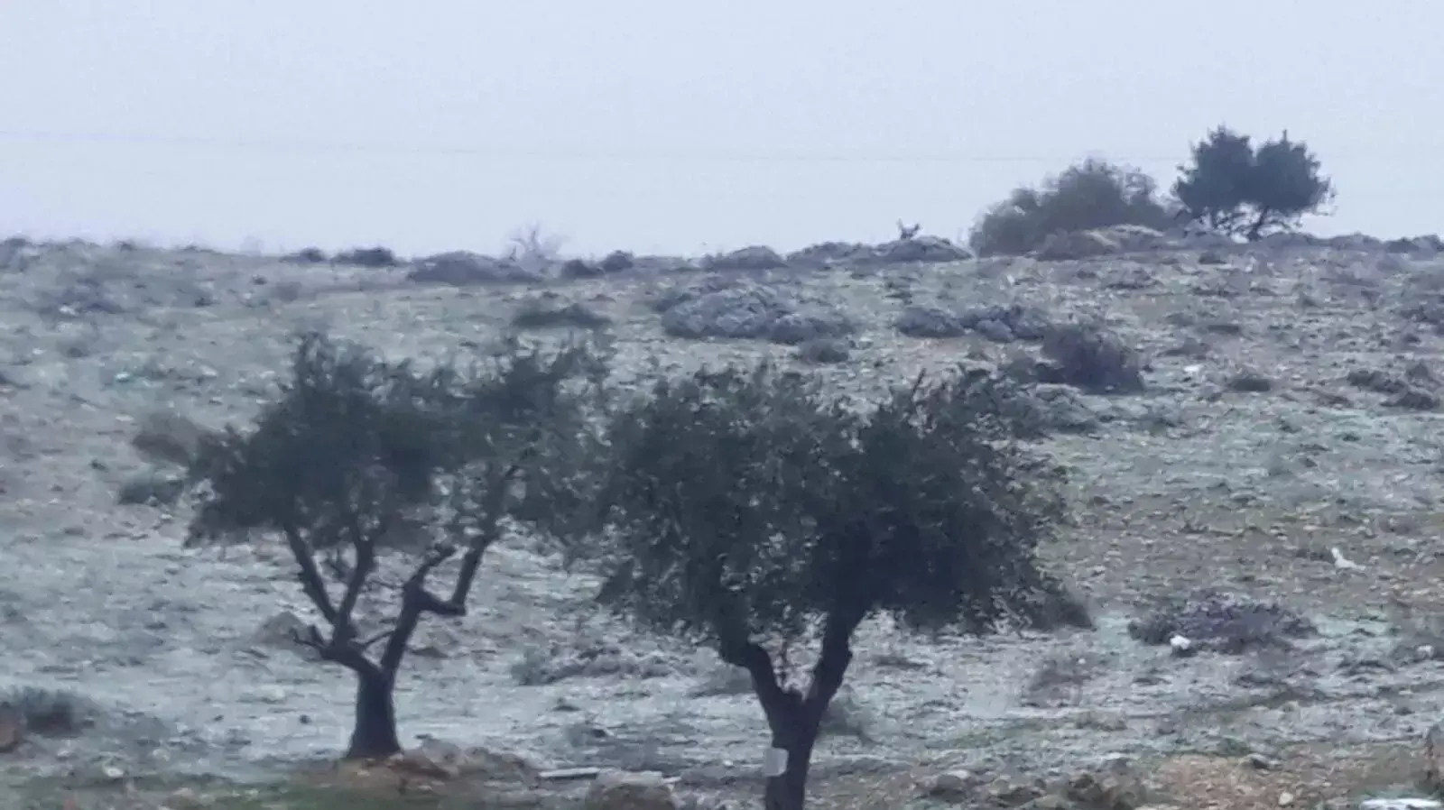 שלג בירושליםדרך חברון גבעת שמואל היום 26 ינואר 2016 שלג בירושליםדרך חברון גבעת שמואל היום 26 ינואר 2016