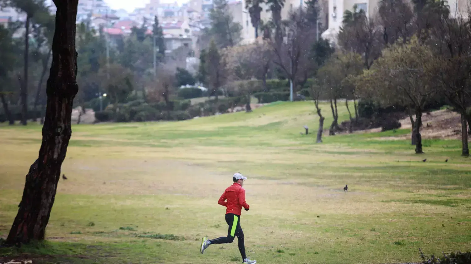 שלג בירושלים היום 26 ינואר 2016 שלג בירושלים היום 26 ינואר 2016