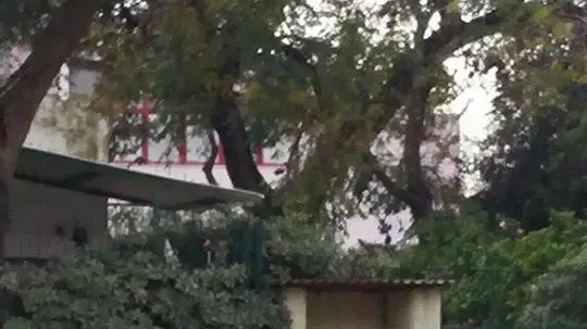 מאבטחים במתחם באשכול גנים בהוד השרון מאבטחים במתחם באשכול גנים בהוד השרון