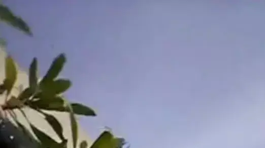 נשאת מלחם בצילומים מתוך הסלולרי האישי שלו