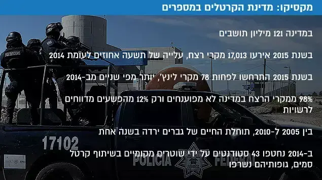 מקסיקו: מדינת הקרטלים במספרים מקסיקו: מדינת הקרטלים במספרים