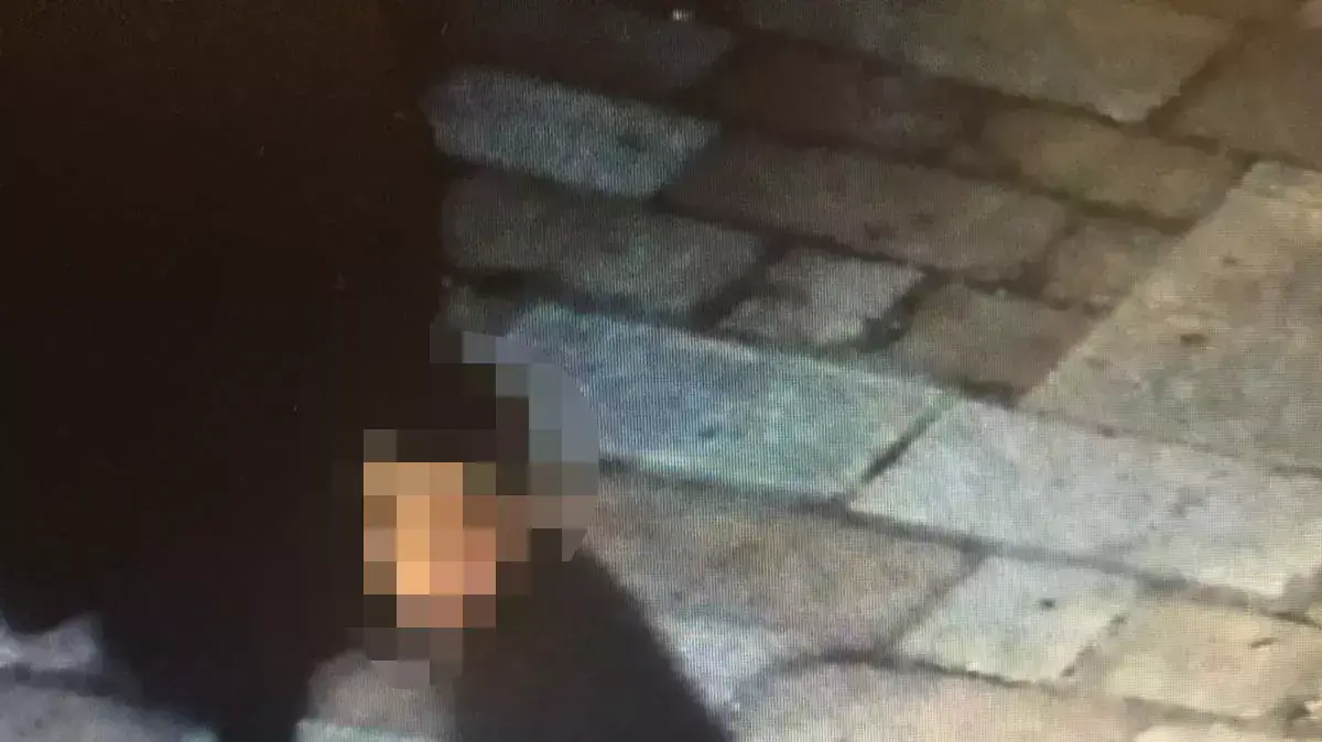החשוד בביצוע פיגוע דקירה בשער שכם, ירושלים. 30 בינואר 2016 החשוד בביצוע פיגוע דקירה בשער שכם, ירושלים. 30 בינואר 2016