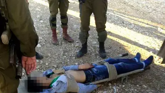 המחבל מהפיגוע הבוקר בגדר סמוך לסלעית 1 פברואר 2016
