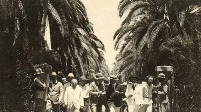 כריתת דקלים גן המושבה בראשון לציון כריתת דקלים גן המושבה בראשון לציון