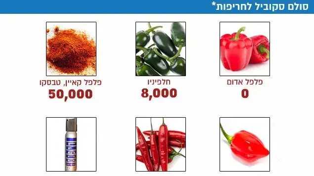 אינפו אינפו
