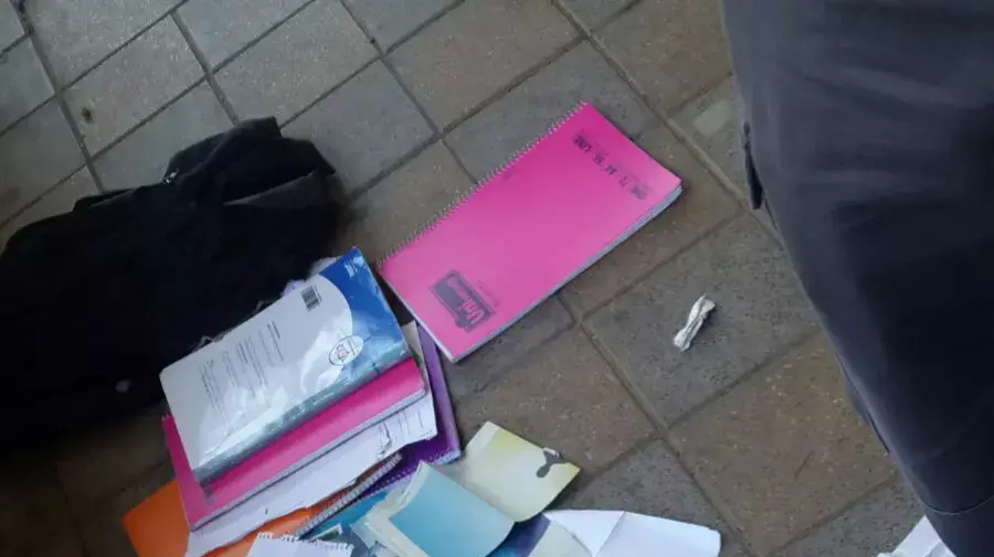 תיק הילדה החשודה בדקירה ברמלה, 4 בפברואר 2016