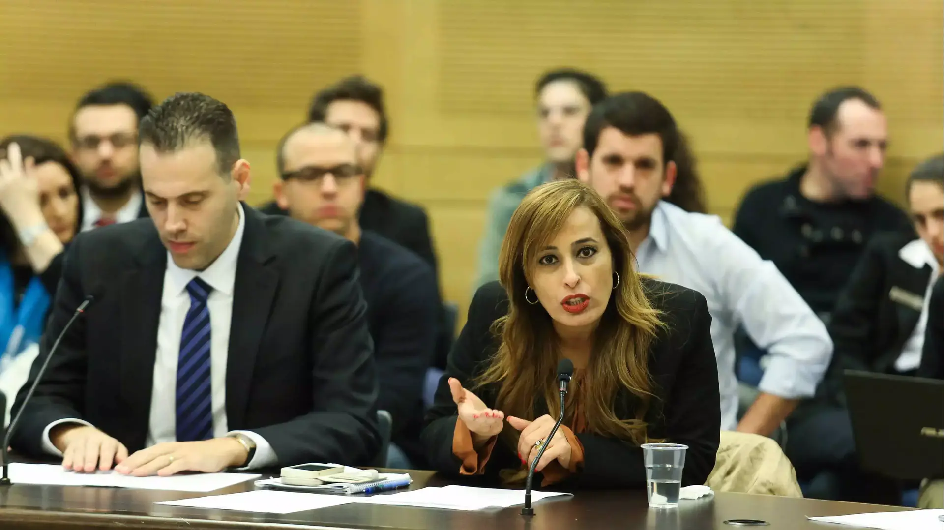 ח"כ נאוה בוקר וח"כ מיקי זוהר. ועדת הכנסת. 8 בפברואר 2016