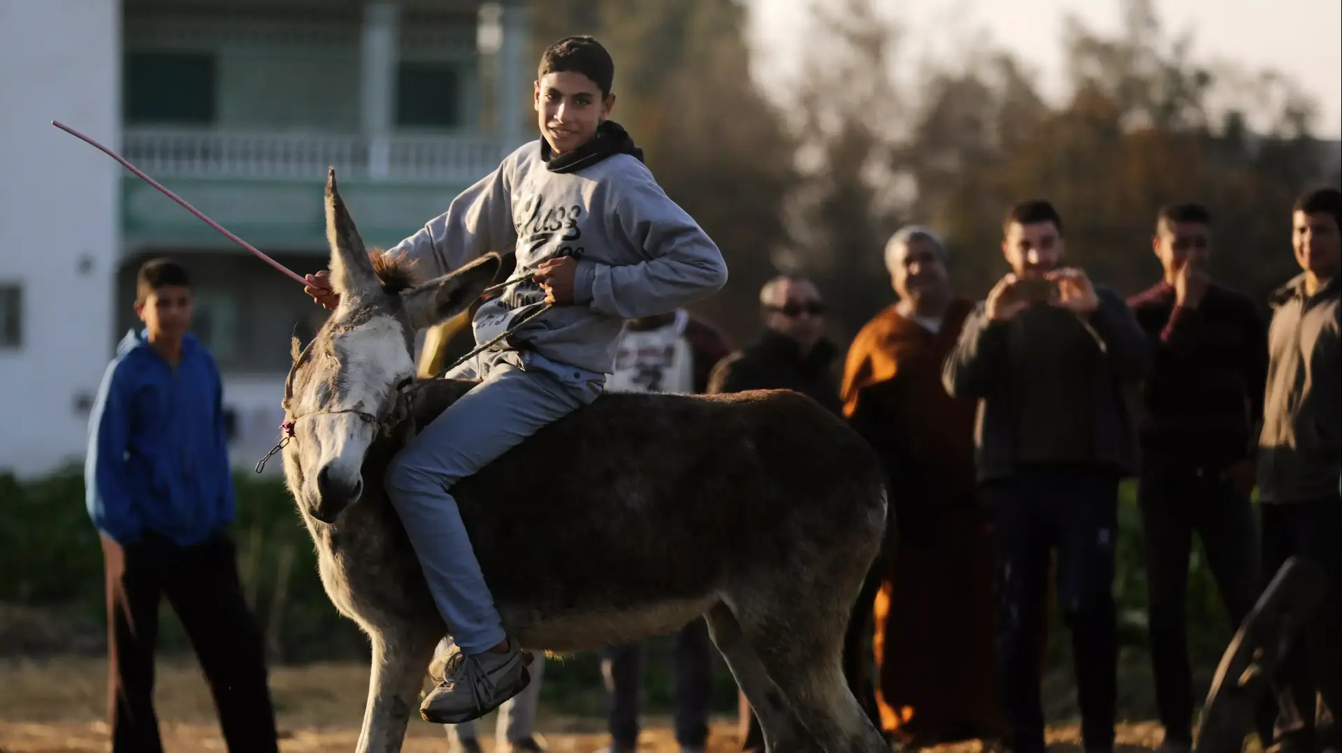 איימן ממצרים והחמור שלו קופצים מעל מחסומים איימן ממצרים והחמור שלו קופצים מעל מחסומים