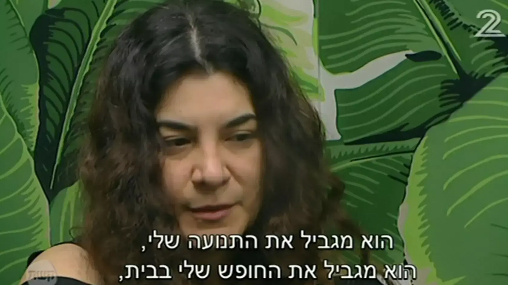 האח הגדול האח הגדול