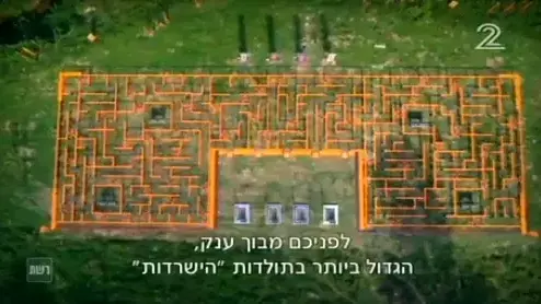 הישרדות הונדורס, פרק 31 הישרדות הונדורס, פרק 31