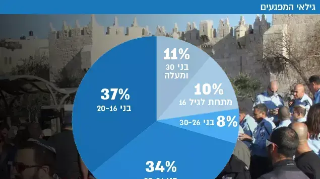 גילאי המפגעים גילאי המפגעים