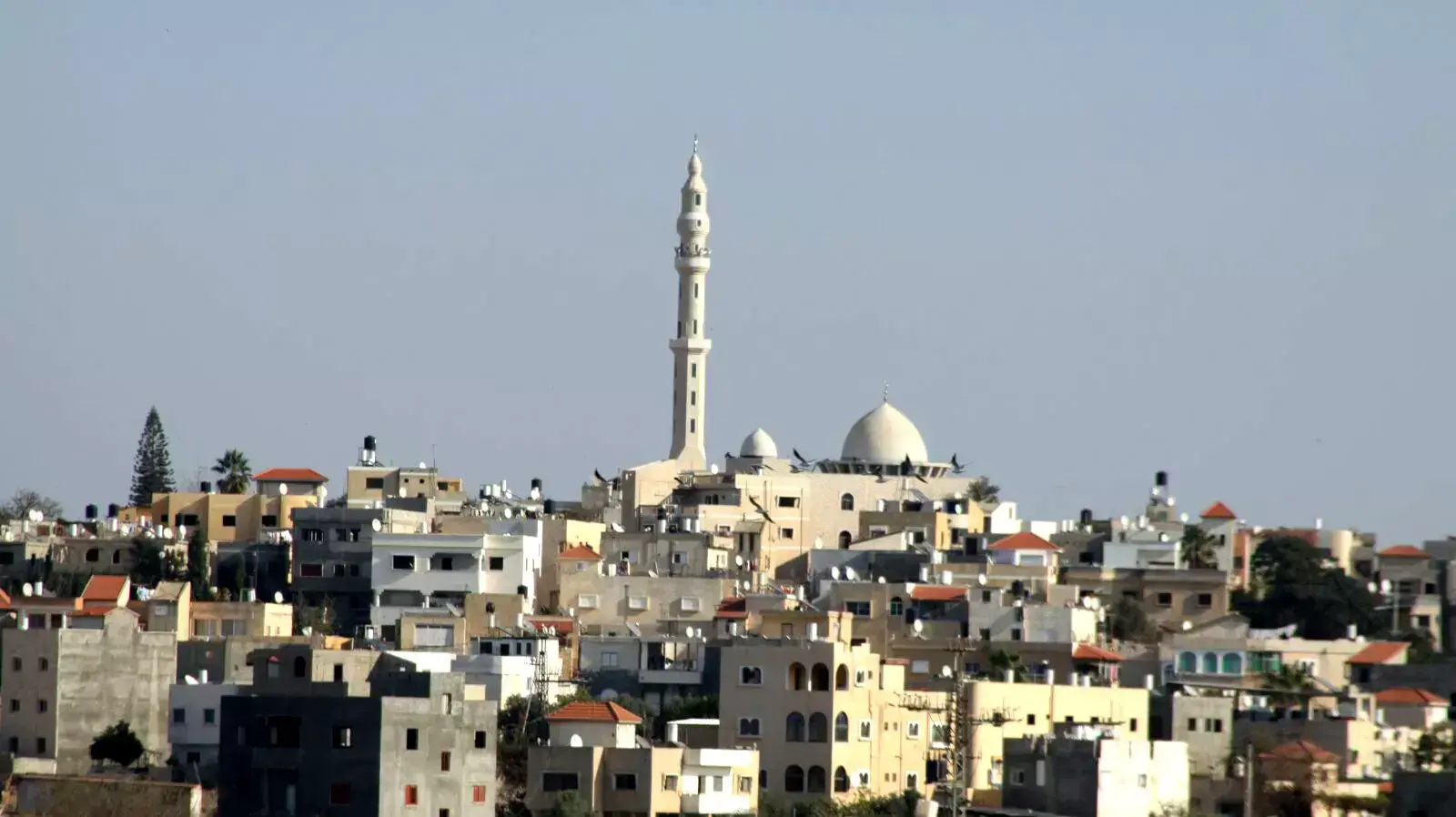 ג'יסר א-זרקא ג'יסר א-זרקא