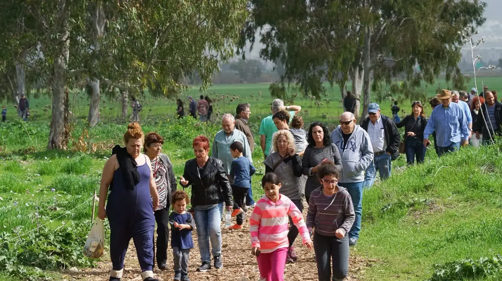 מטיילים ביער כלניות הסרגל. 20 בפברואר 2016. מטיילים ביער כלניות הסרגל. 20 בפברואר 2016.