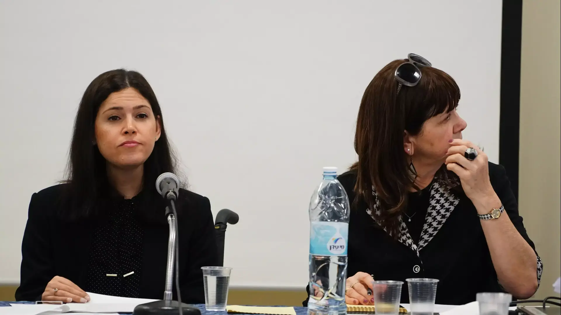 חברת הכנסת קארין אלהרר בוועדה לביקורת המדינה בדיון על דוח מבקר המדינה והטיפול בזיהום האוויר, באוניברסיטת חיפה חברת הכנסת קארין אלהרר בוועדה לביקורת המדינה בדיון על דוח מבקר המדינה והטיפול בזיהום האוויר, באוניברסיטת חיפה