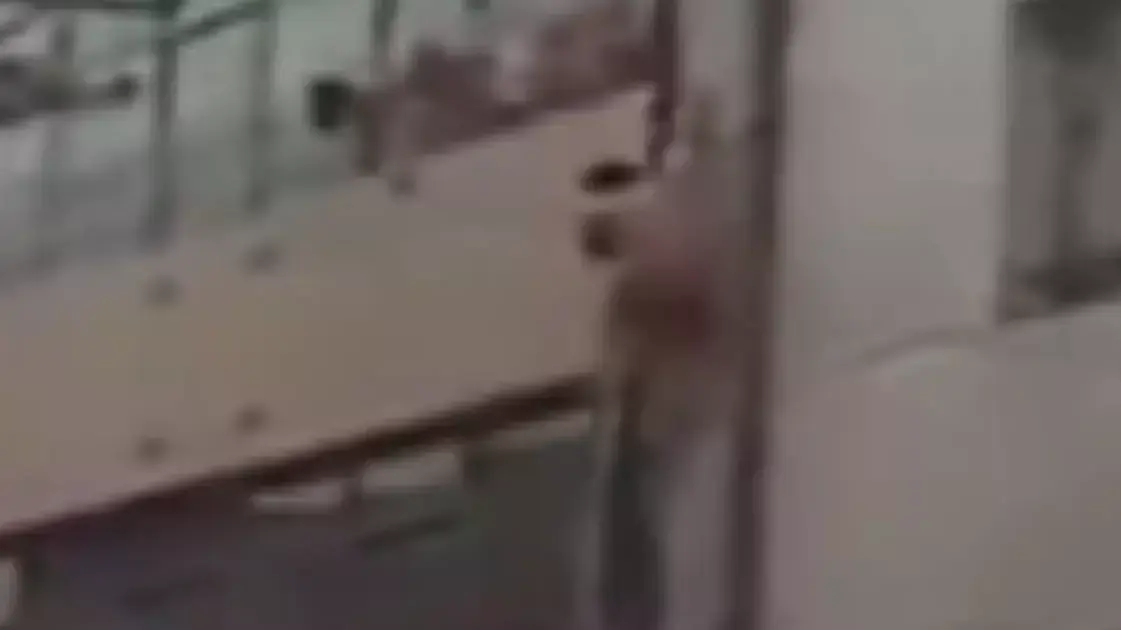 גבר ערום בורח מהחלון