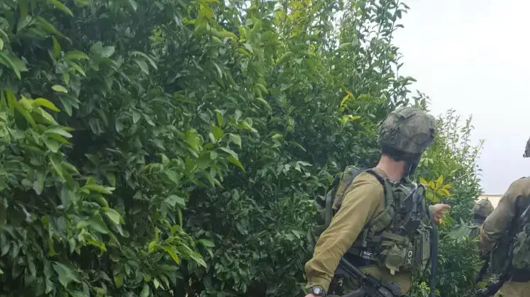 השוהים הבלתי חוקיים שנתפסו במועצה האזורית אשכול השוהים הבלתי חוקיים שנתפסו במועצה האזורית אשכול