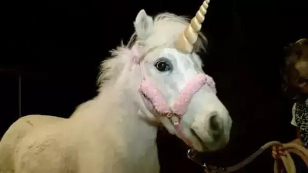 חד קרן הסתובב חופשי בקליפורניה