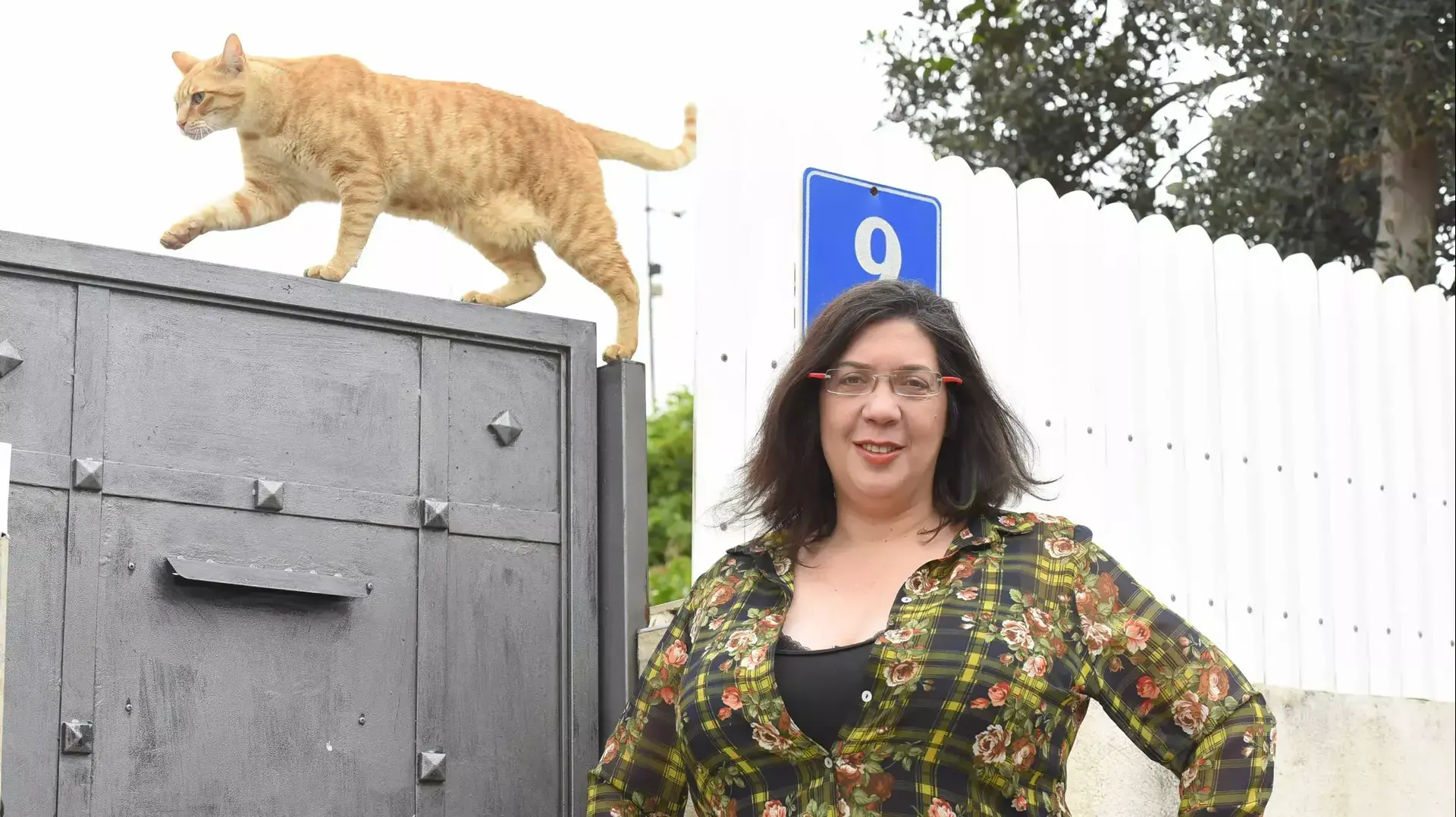 ציפי ערן ציפי ערן