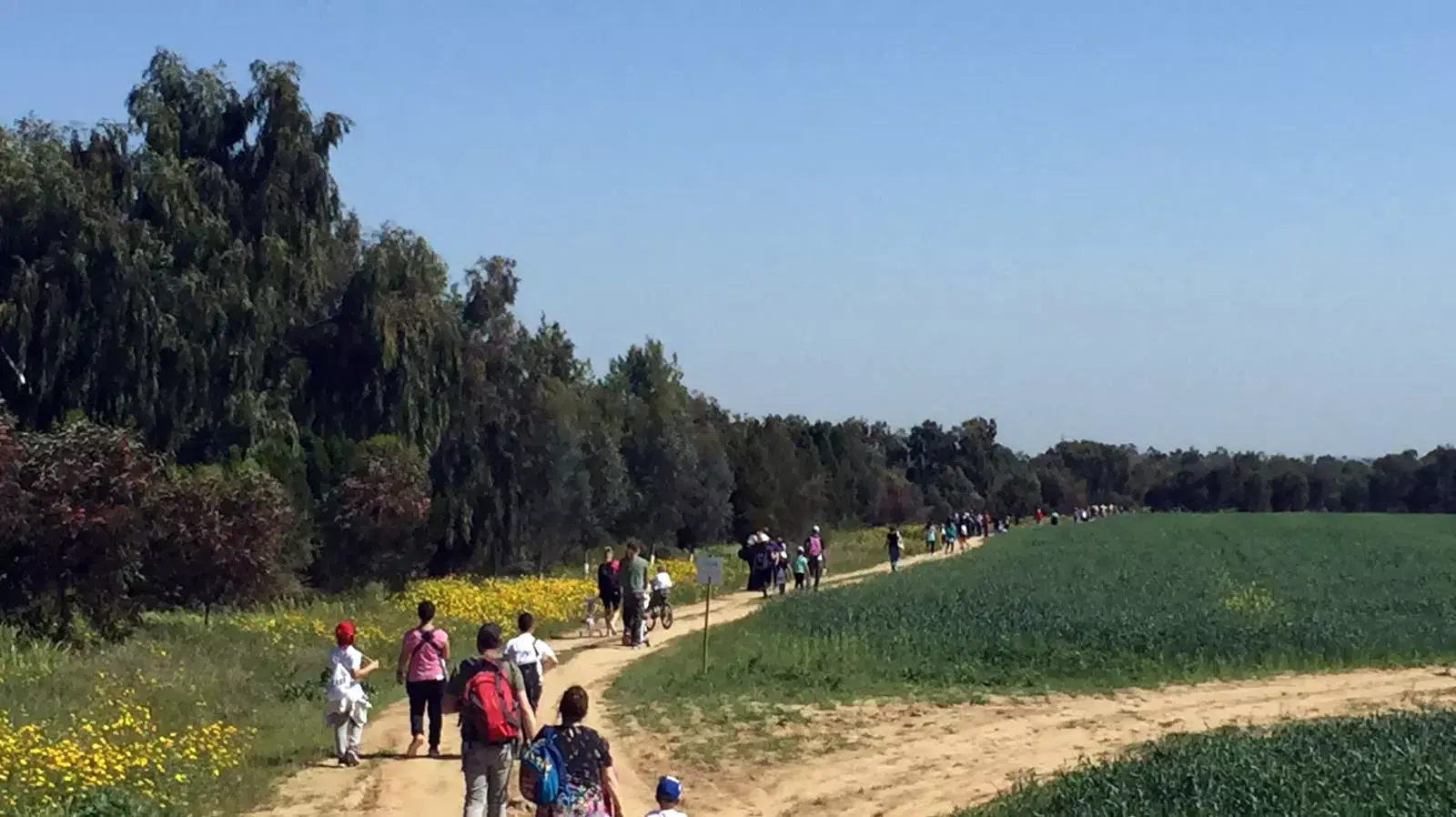 צעדת ?בשבילם? במועצה האזורית אשכול, לזכרם של שלושת תושבי המועצה שנפלו ב?צוק איתן?, סרן ליעד לביא, זאביק עציון (רבש?ץ קיבוץ נירים) ושחר מלמד ז?ל צעדת ?בשבילם? במועצה האזורית אשכול, לזכרם של שלושת תושבי המועצה שנפלו ב?צוק איתן?, סרן ליעד לביא, זאביק עציון (רבש?ץ קיבוץ נירים) ושחר מלמד ז?ל