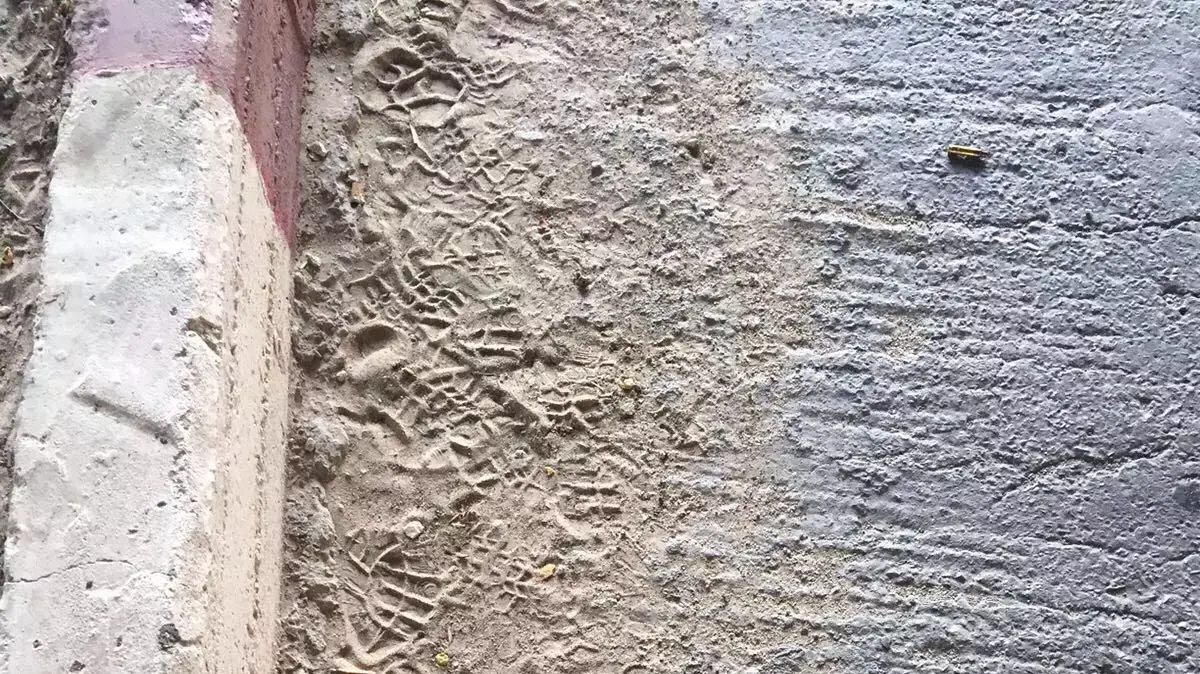 סכין ששימשה את המחבל בניסיון הפיגוע באלקנה סכין ששימשה את המחבל בניסיון הפיגוע באלקנה