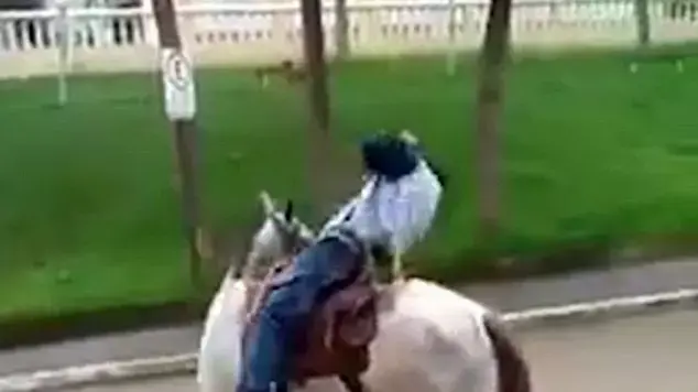 רוכב שיכור על סוס 
