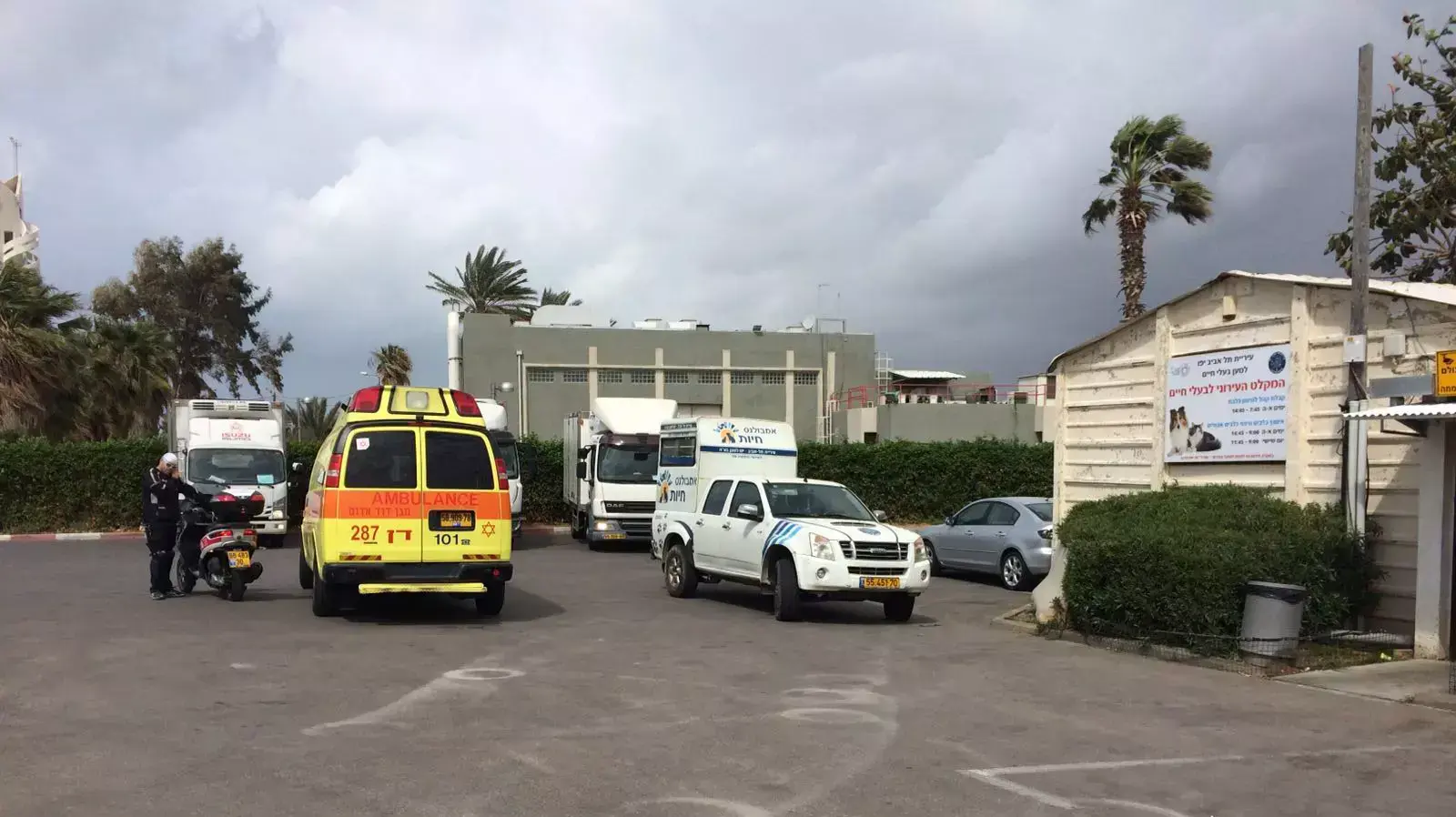 זירת ניסיון הדקירה בקרבת בסיס שדה דב זירת ניסיון הדקירה בקרבת בסיס שדה דב