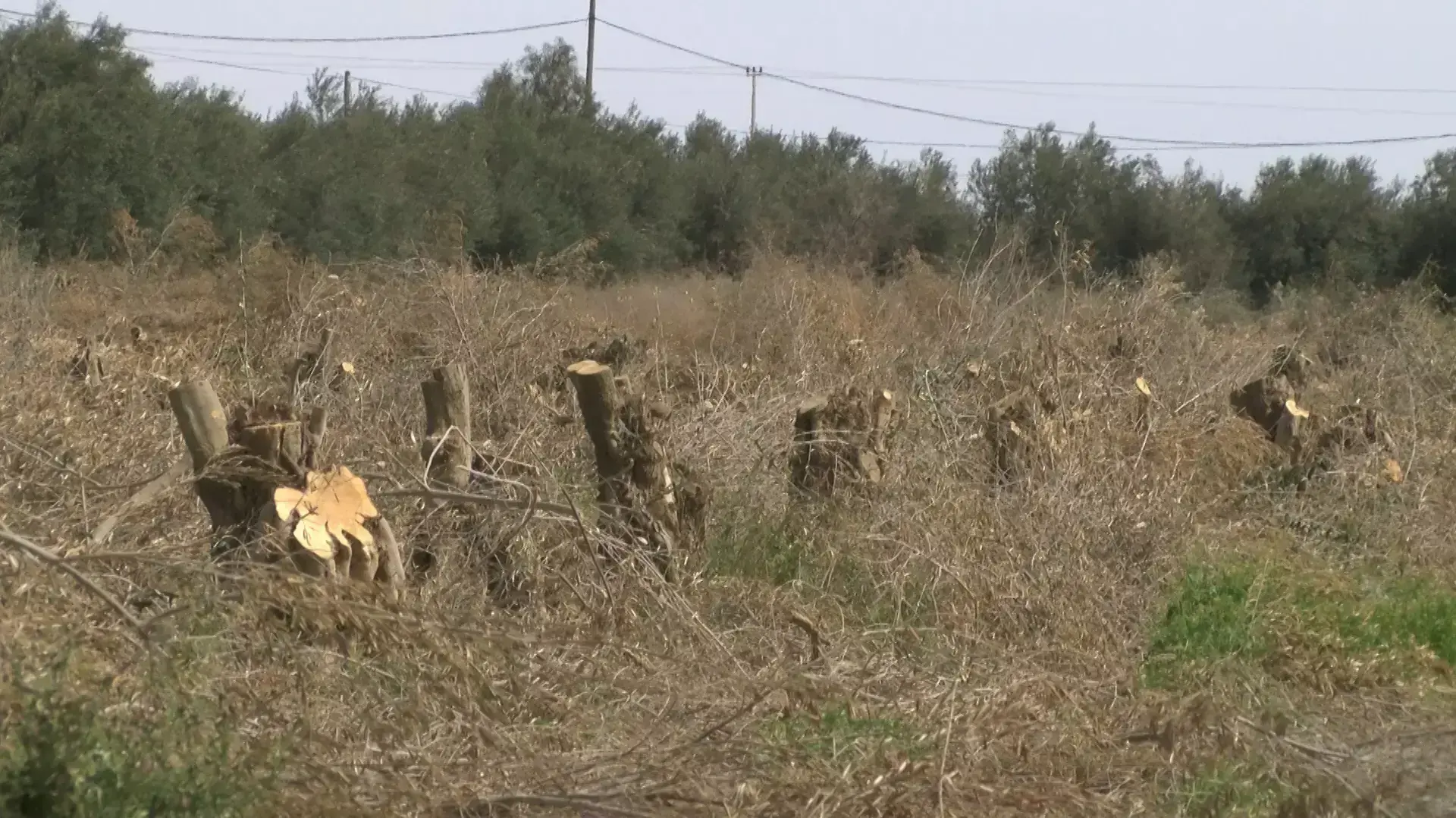 חדשות מקומיות 16.03.16 חדשות מקומיות 16.03.16