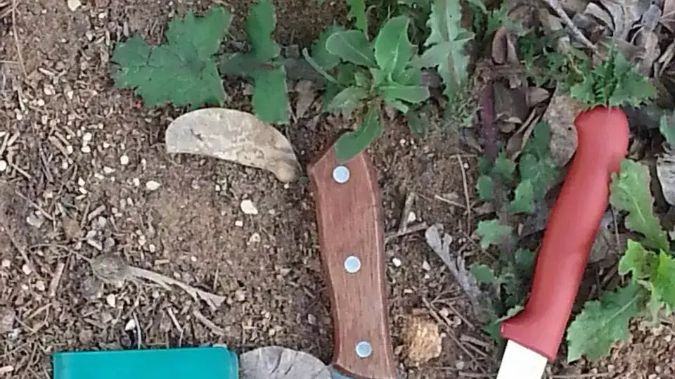 שני פלסטינים נתפסו באזור בנימין ועליהם סכינים, 18 מרץ 2016 שני פלסטינים נתפסו באזור בנימין ועליהם סכינים, 18 מרץ 2016