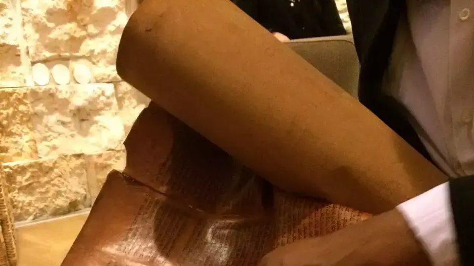 עולים יהודים מתימן שעלו במסגרת מבצע 'מקצה תימן', נמל התעופה בן גוריון. 20 במרץ 2016 עולים יהודים מתימן שעלו במסגרת מבצע 'מקצה תימן', נמל התעופה בן גוריון. 20 במרץ 2016