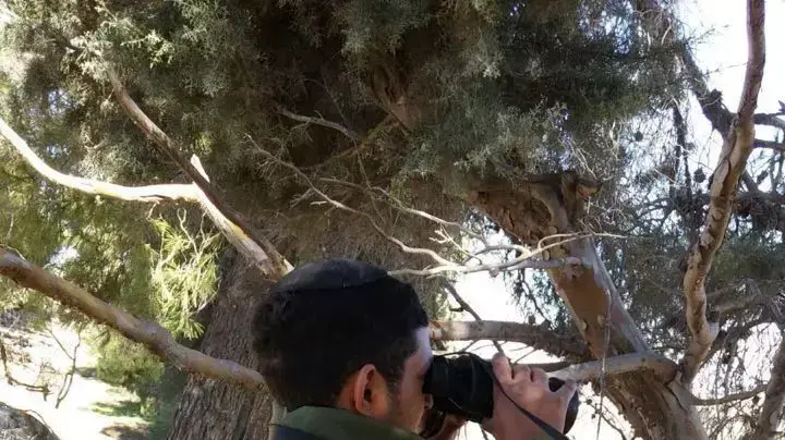נפתלי, לוחם בודד שגילה בארה"ב כי הוריו עלו לארץ מתימן נפתלי, לוחם בודד שגילה בארה"ב כי הוריו עלו לארץ מתימן