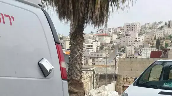 הסכין ששימשה שני מחבלים בפיגוע דקירה בחברון, מרץ 2016 הסכין ששימשה שני מחבלים בפיגוע דקירה בחברון, מרץ 2016