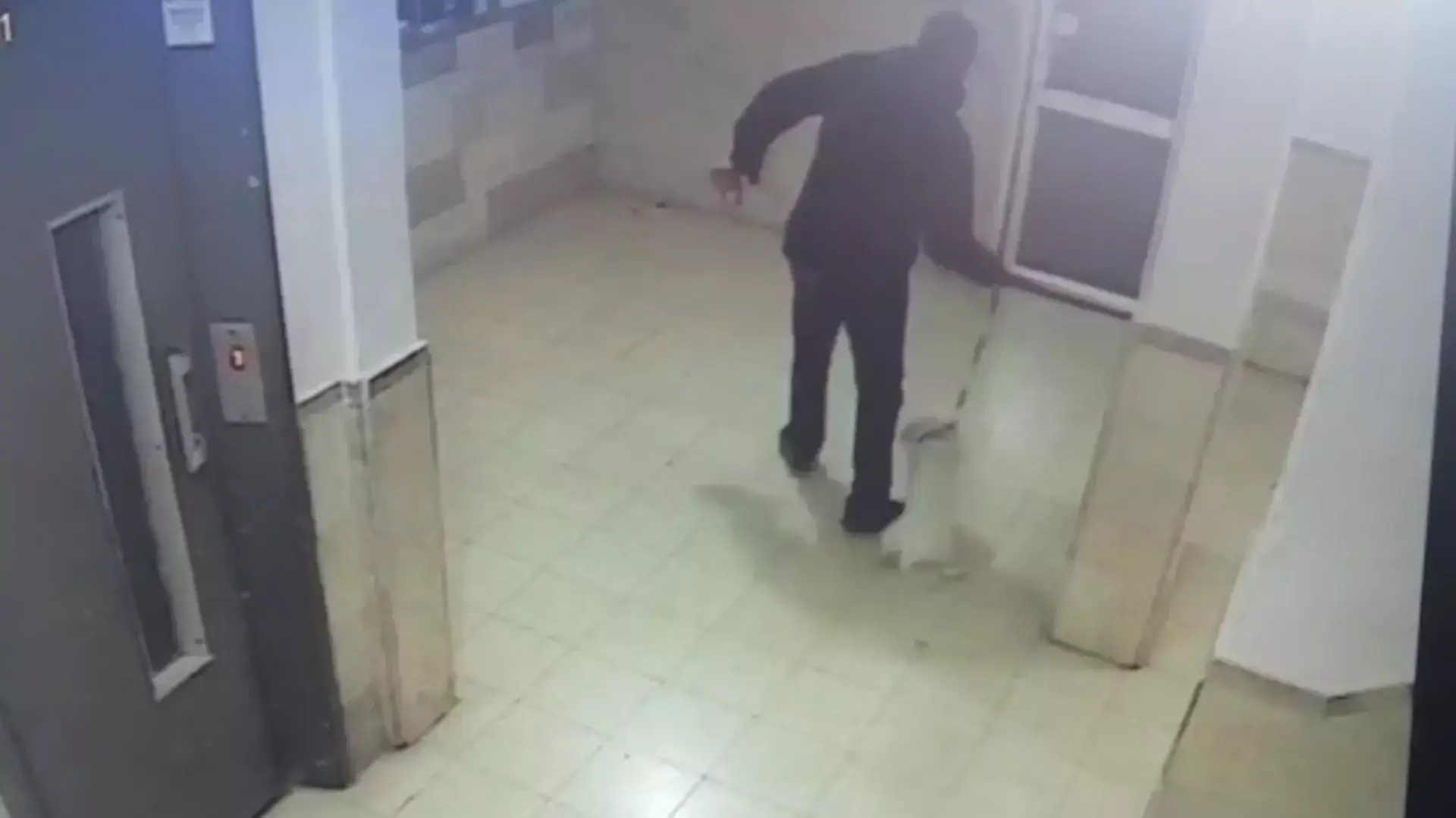 תושב ירושלים בעט, חנק ותלה כלבה קטנה